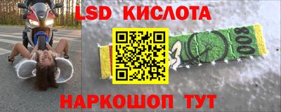прущие грибы Малоярославец