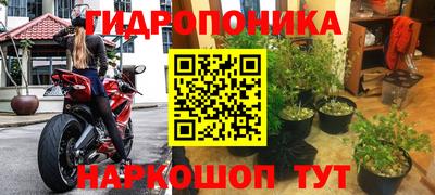 эйфоретик Мариинск